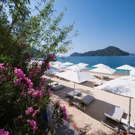 Szálloda D-resort Gocek Göcek